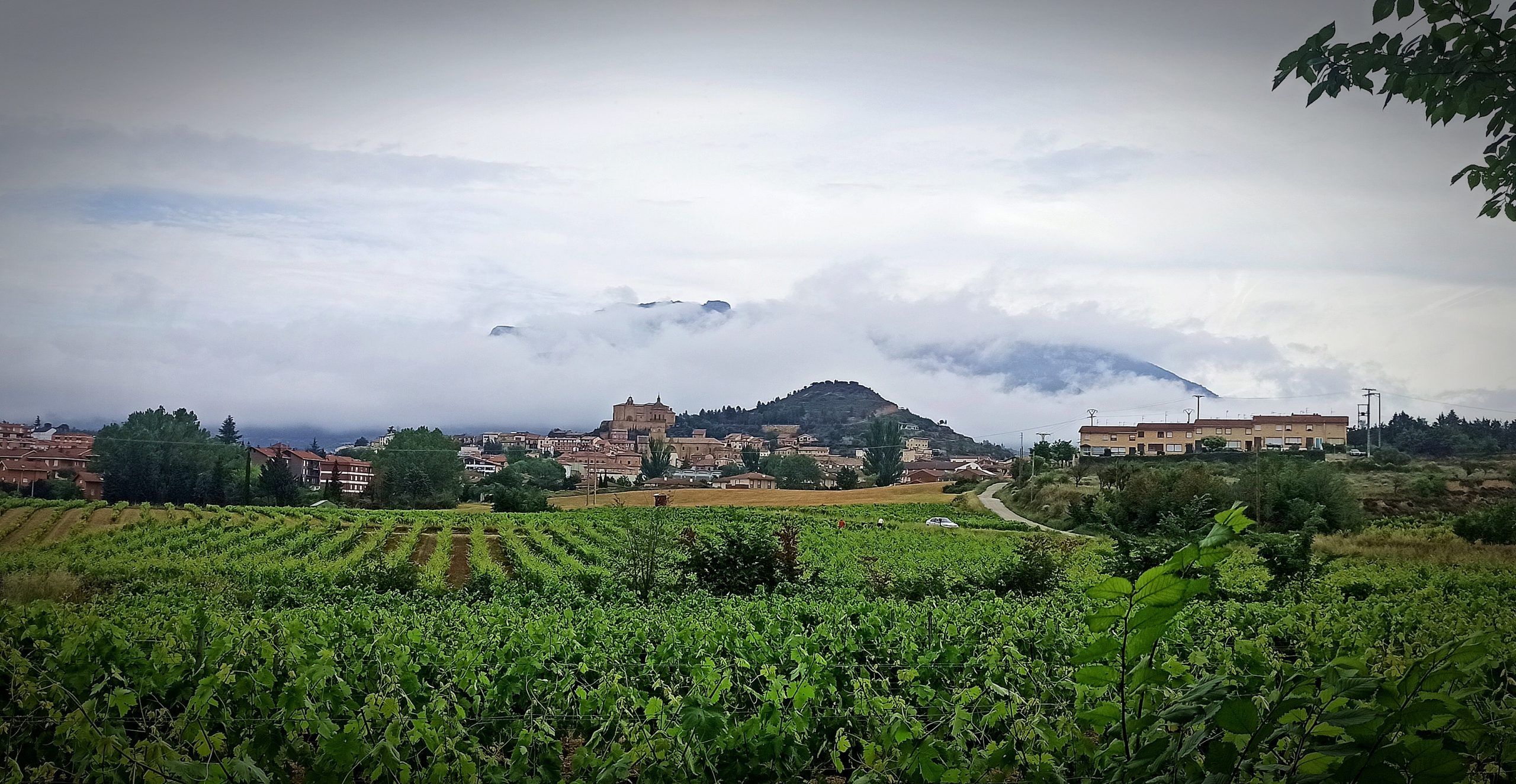 wine tourism in Rioja